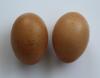 McMurray Hatchery Bielefelder Eggs